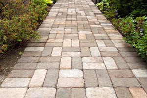 Path Cleaning Specialist in Alvin
