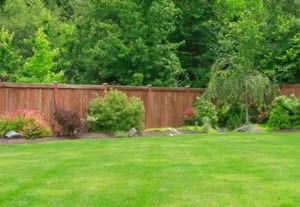 Fence Cleaning Specialist in Clear Lake