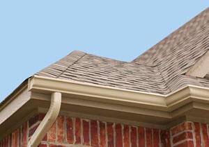 Gutter Cleaning Service in Alvin TX