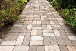 Path Cleaning Solutions in Clear Lake