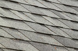 Roof Cleaning Services in Alvin