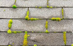 South Houston Roof Washing